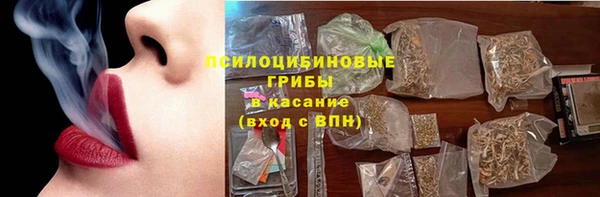 apvp Гатчина
