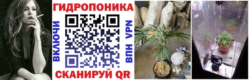 Шишки марихуана AK-47  купить наркоту  Жирновск 
